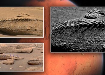 Mysterious Bone-like Structure Spotted on Mars’