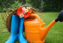 Odlazite na odmor? Evo kako da vaše biljke prežive bez zalivanja – četiri trika koje će vam spasiti zelenilo! Odlazite na odmor? Evo kako da vaše biljke prežive bez zalivanja – četiri trika koje će vam spasiti zelenilo!