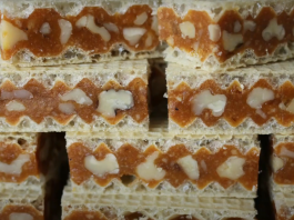 Grilijaš ili figaro oblande – Hrskava poslastica koja nestaje u trenu! Grilijaš ili figaro oblande – Hrskava poslastica koja nestaje u trenu!