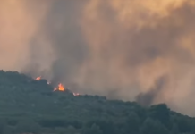 Ogromna vatrena stihija aktivna, angažovana 133 vatrogasca i desetine vozila Ogromna vatrena stihija aktivna, angažovana 133 vatrogasca i desetine vozila