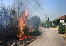 Vatra prijeti domovima: Kuče ponovo u plamenu, proglašen Dan žalosti Vatra prijeti domovima: Kuče ponovo u plamenu, proglašen Dan žalosti
