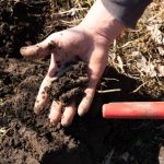 Čovek kupio detektor za metal i posle 2 dana se zabezeknuo onim što je pronašao: Zbog otkrića mu se smeši velika suma