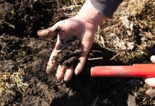 Čovek kupio detektor za metal i posle 2 dana se zabezeknuo onim što je pronašao: Zbog otkrića mu se smeši velika suma