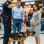 Sofija je mislila da je samo putnica – a onda je pas razotkrio istinu