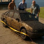 Automobil pronađen na dnu rijeke nakon dvanaest godina: priča koja će vam zalediti krv u žilama
