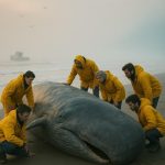 Ono što je pronađeno u želucu ovog plavog kita šokiralo je svijet! Nevjerojatno!