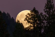 Kako Supermesec utiče na svaki horoskopski znak 5. novembra 2025? Vreme je za iskrene želje i ljubavne lomove