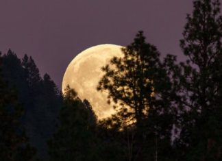 Kako Supermesec utiče na svaki horoskopski znak 5. novembra 2025? Vreme je za iskrene želje i ljubavne lomove