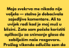 Morala sam snimati uvredljive komentare svoje svekrve da bih svom mužu dokazala koliko je zla