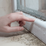 Kako da zaustavite kondenzaciju na prozorima zimi? Stolar otkrio najjednostavnije rešenje