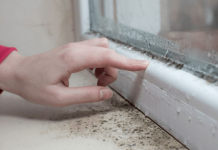 Kako da zaustavite kondenzaciju na prozorima zimi? Stolar otkrio najjednostavnije rešenje