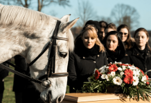 Mislili su da je konj pobegao od tuge, a onda se pojavio na sahrani: Njegov oproštaj od vlasnika bio je dirljiviji od bilo kog govora.