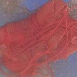 “Spali odmah ili baci u rijeku” Žena pronašla čudni smotuljak na poslu, i izazvala lavinu SUJEVJERNIH KOMENTARA