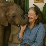 Pronašla je slonića u blatu nakon oluje… i učinila nešto što nitko nije očekivao