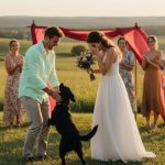 Pas koji je prekinuo vjenčanje: Istina koja je slomila srce, ali spasila život