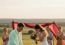 Pas koji je prekinuo vjenčanje: Istina koja je slomila srce, ali spasila život