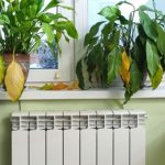 Zašto biljke umiru kad uključimo grejanje? Nije problem u toploti