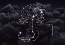 Veliki godišnji horoskop za Škorpiju: 2026. vam konačno donosi sreću u ljubavi, ali “pamet u glavu” na poslu