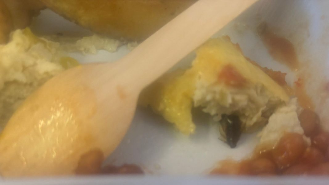 Mislila sam da će biti običan dan… dok u obroku nisam ugledala nešto što se ne zaboravlja - featured image