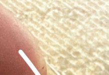 Ono što sam pronašao dok sam spremao večeru će vas šokirati!