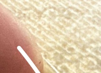 Ono što sam pronašao dok sam spremao večeru će vas šokirati!