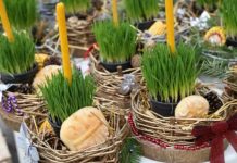 Po vjerovanju, ako se božićna pšenica POSADI NA OVAJ DAN, kuća će biti blagoslovena cijele godine Po vjerovanju, ako se božićna pšenica POSADI NA OVAJ DAN, kuća će biti blagoslovena cijele godine - featured image