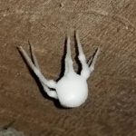 Pronašao Bijelu Čudnu Stvar u Podrumu, Majka je Pocrvenila od Straha Pronašao Bijelu Čudnu Stvar u Podrumu, Majka je Pocrvenila od Straha - featured image