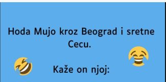 VIC: Mujo sretne Cecu VIC: Mujo sretne Cecu - featured image