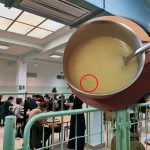 Zašto nikada više neću jesti u školskoj kafeteriji