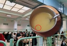 Zašto nikada više neću jesti u školskoj kafeteriji