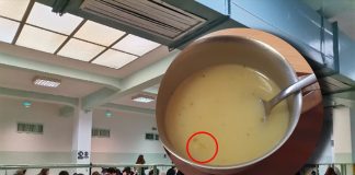 Zašto nikada više neću jesti u školskoj kafeteriji