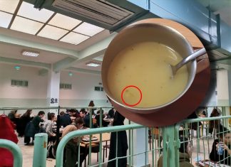 Zašto nikada više neću jesti u školskoj kafeteriji