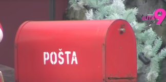 Veliki šef zagrmeo! Potpuni haos u “Eliti” – Ovo niko nije očekivao! Veliki šef zagrmeo! Potpuni haos u “Eliti” – Ovo niko nije očekivao!