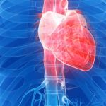 “Ovo hrana je prava noćna mora za arterije, a da toga niste ni svesni”: Otkriva kardiolog