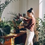 7 sobnih biljaka zbog kojih zimi boli glava i loše se spava: Ruski botaničar pre 100 godina upozoravao na njih