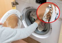 Majstor rastavio veš mašinu pa u njoj pronašao ovo: Evo kakvu štetu joj pravi sredstvo koje svi koriste