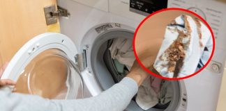 Majstor rastavio veš mašinu pa u njoj pronašao ovo: Evo kakvu štetu joj pravi sredstvo koje svi koriste