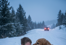 Napustio me je kada mi je bio najpotrebniji – ali nisam ostao sam