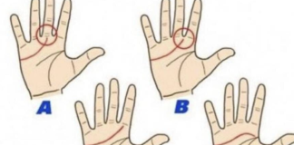 DOBRO POGLEDAJTE VAŠU LINIJU SRCA NA DLANU: PROVJERITE ŠTA ONA ZNAČI, saznajte vašu sudbinu