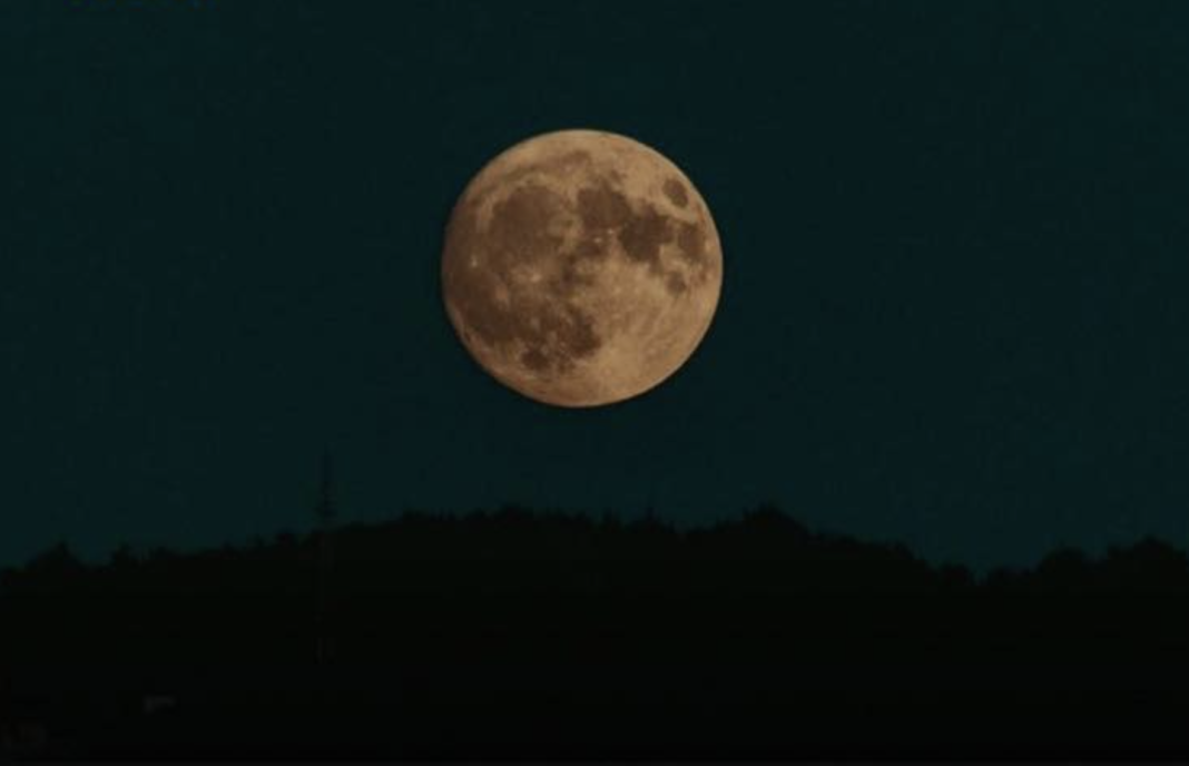 Screenshot 2026-01-29 at 15.02.40