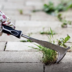 Na vrijeme spriječite pojavu korova: Ključno je napraviti ovo tokom zime