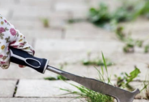 Na vrijeme spriječite pojavu korova: Ključno je napraviti ovo tokom zime