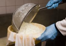 Smučit će vam se: Evo šta se zapravo dešava s jogurtom prije nego stigne na policu