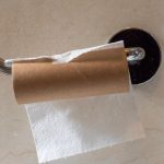 Prestanite bacati tube od WC papira u smeće, stručnjaci savjetuju da ih stavite u svoj vrt