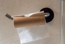 Prestanite bacati tube od WC papira u smeće, stručnjaci savjetuju da ih stavite u svoj vrt