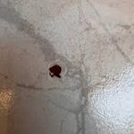 Imate rupicu na pločici? Evo kako je popraviti bez zvanja majstora