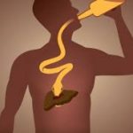 Brinete li se o svojoj jetri? Evo što savjetuju stručnjaci kako joj možete pomoći da radi svoj posao