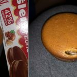 SLIKA BUBE PODIGLA BURU: Evo šta treba da uradite ako u proizvodu pronađete nešto slično