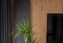 Ovih 6 biljaka su prosto neuništive: Ne treba im nikakava posebna nega, a ulepšaće svaki dom – idealne su za početnike