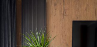 Ovih 6 biljaka su prosto neuništive: Ne treba im nikakava posebna nega, a ulepšaće svaki dom – idealne su za početnike